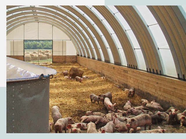 Строительство свинарников в Оренбурге